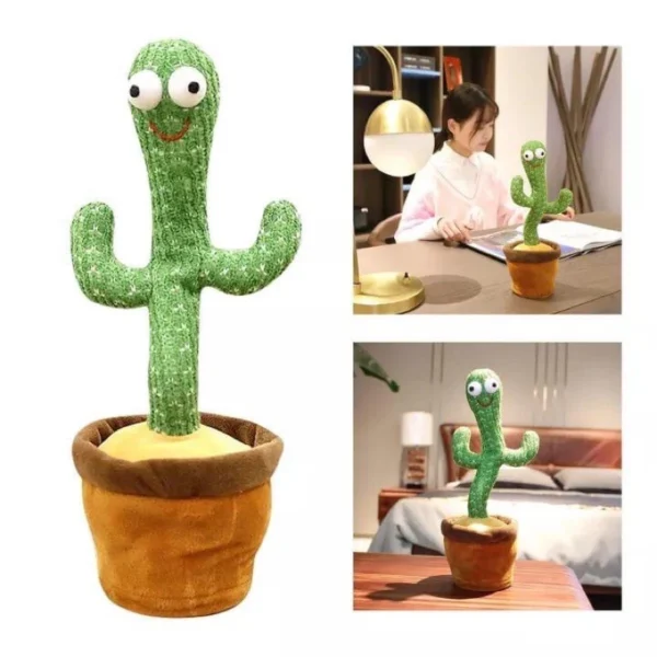 Xương rồng nhảy múa