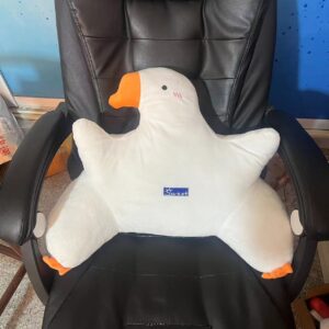Gối tựa lưng hình ngỗng